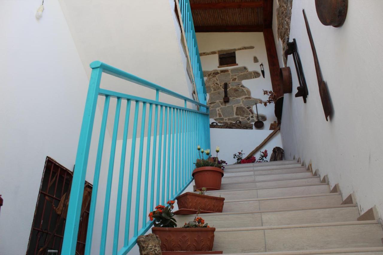 Bed And Breakfast Murales 오르고솔로 외부 사진
